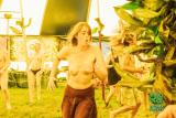 QS Festival 2024